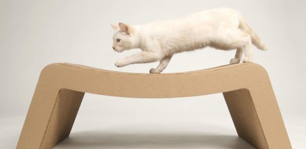 Prateleiras ajudam a manter os gatos brincando na altura sem riscos de quebrar vasos e móveis - Divulgação/Kittypod
